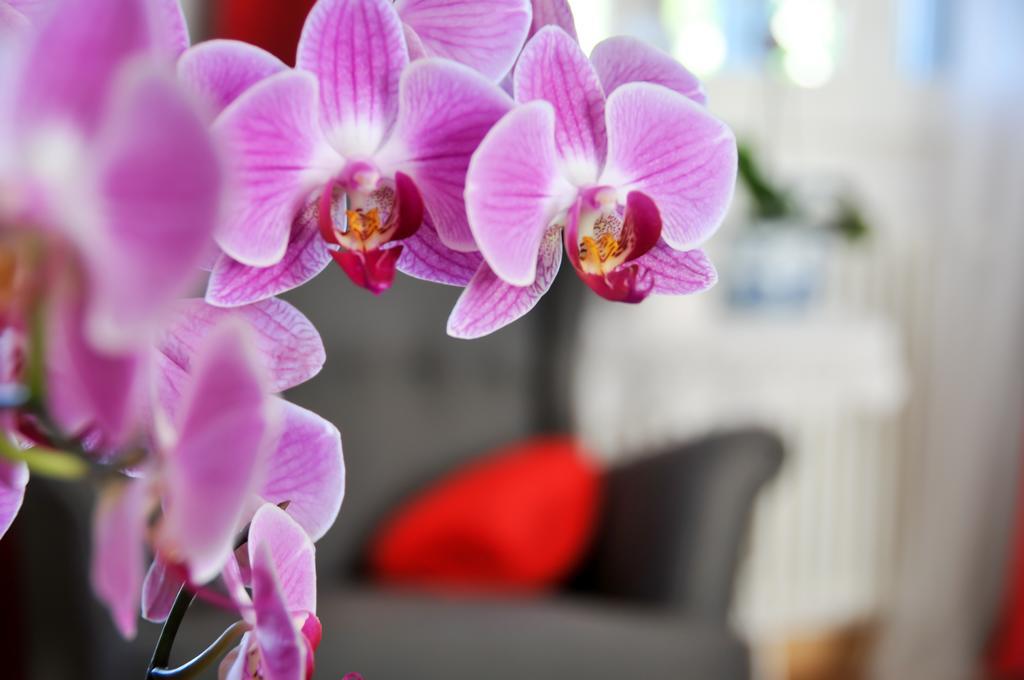 B&B Al Parco Giardini Margherita Болонья Экстерьер фото